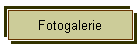 Fotogalerie